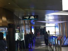 -上影国际影城(成都银泰LUXE店)