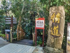-海南霸王岭国家森林公园