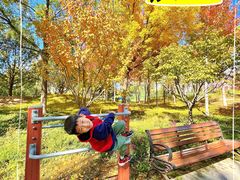 -回龙观体育文化公园