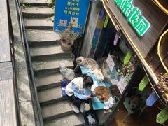 -磁器口古镇