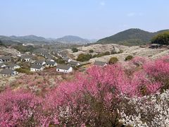 -原乡小镇度假乐园