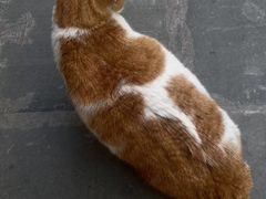 -猫的天空之城概念书店(苏州平江店)