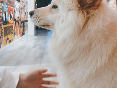 -肆兮眼镜·蔡司·徕卡战略合作店(大坪店)