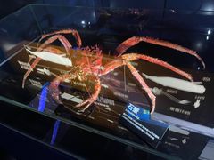 -同济大学四平路校区深海探索馆