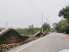 -抱龙峪