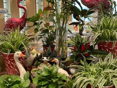 -济南香格里拉·咖啡泉自助餐厅