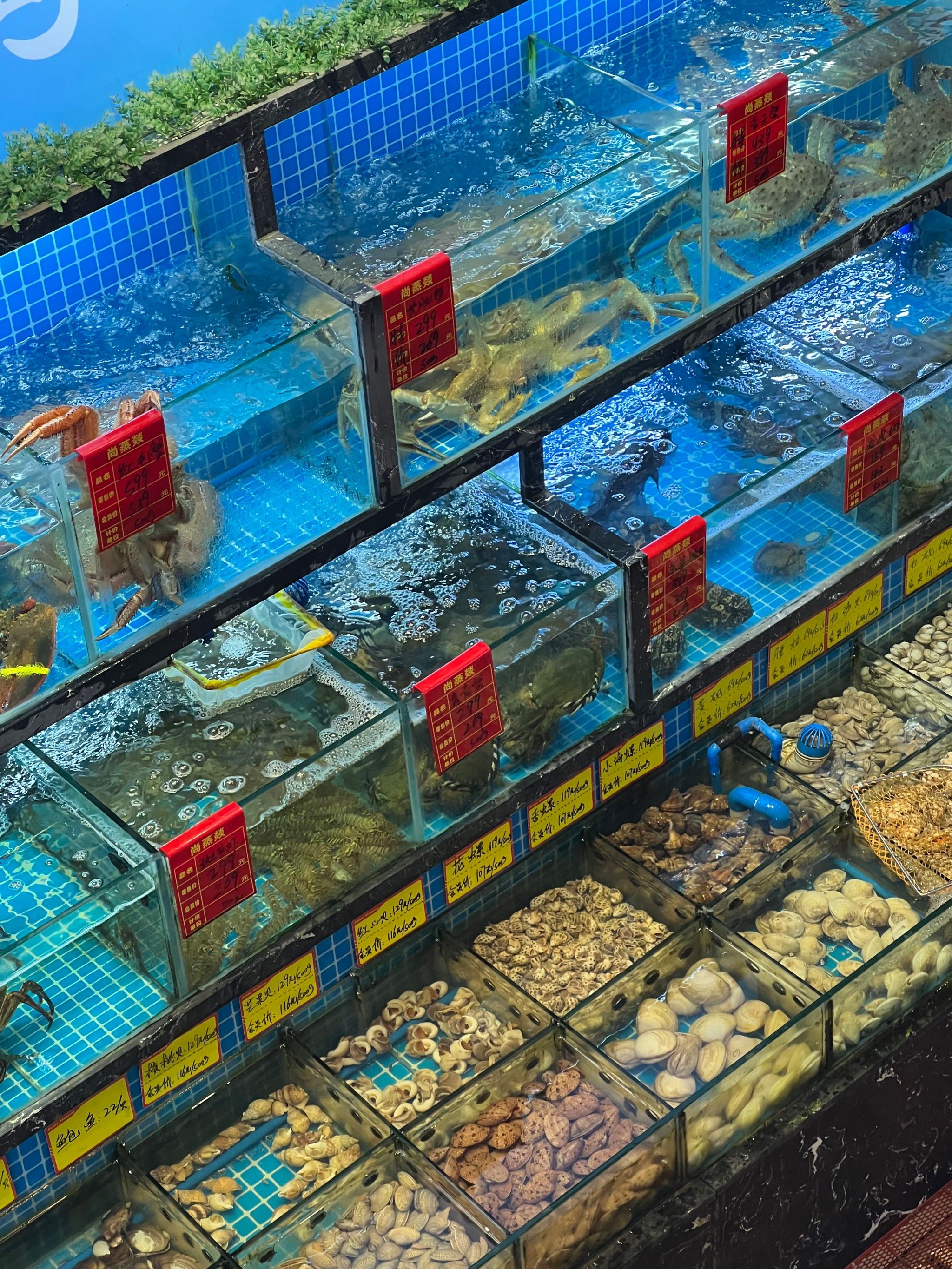 找到了!这家离大海很近的餐厅!