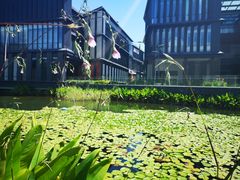 -星巴克(深圳前海企业公馆店)