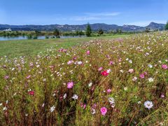 -敕勒川草原文化旅游区