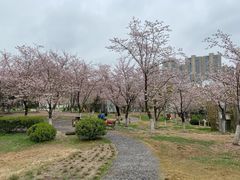 -堤角公园