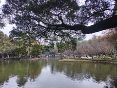 -晓港公园