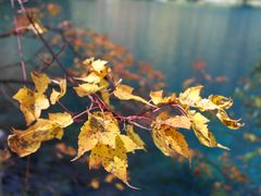 -叠溪松坪沟景区