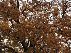 -香山公园-东宫门售票处