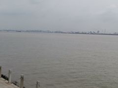-海鸥岛