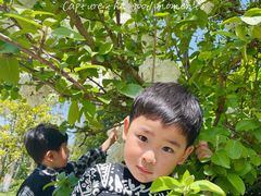 -杭州城北体育公园