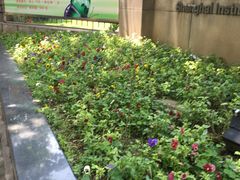 -上海昆虫博物馆