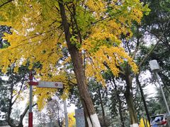 -四川大学(望江校区)