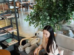 -了不起的考拉咖啡店(高新店)