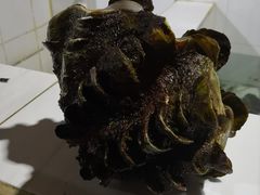 -海盗餐厅