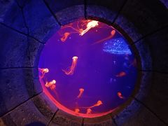 -波塞冬旅游度假区