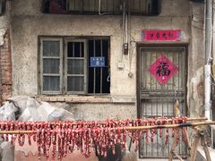 -松树干拌面店