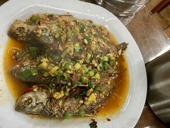 -张氏父子常德肠子馆(红星总店)