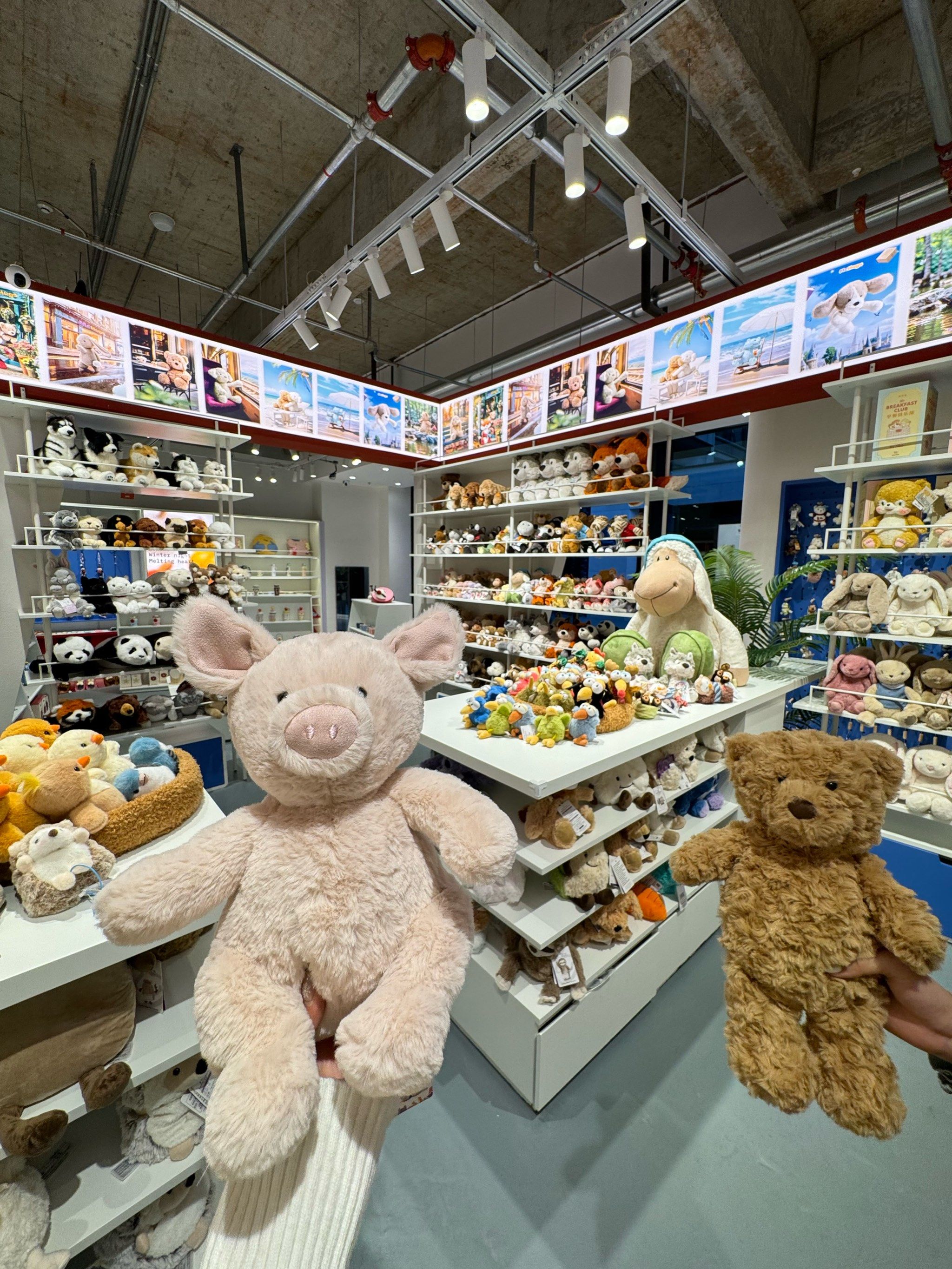 义乌天地新开的玩偶集合店
太可爱了啊