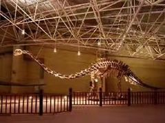 -世界恐龙谷景区