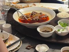 -羲和雅苑•北京烤鸭(国贸商城店)