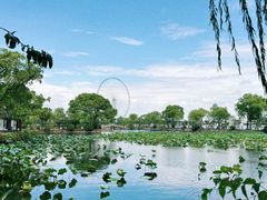 -无锡蠡湖国家湿地公园-蠡园