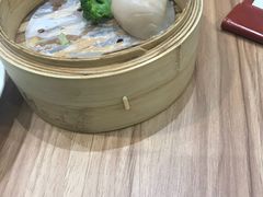 虾饺皇-胜记凯心茶餐厅(汇金财富广场店)