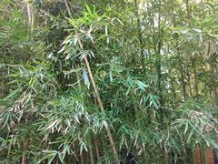 -上海璞麗酒店