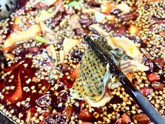 -烧哥美蛙肥肠鱼火锅·十五年社区店