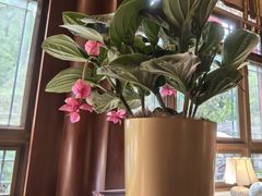 -仿膳饭庄·宫廷风味(百年传承店)