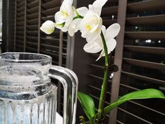 -海上明月(购物公园店)