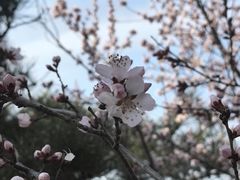 -北京十三陵国家森林公园蟒山景区