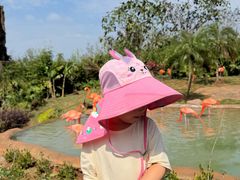 -海南热带野生动植物园