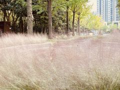 -苏州河梦清园环保主题公园