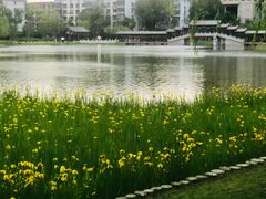 -西海子公园