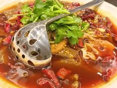 四川毛血旺-新南华大酒店(长寿店)