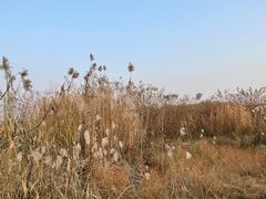 -盘龙城国家考古遗址公园