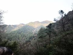 -大奇山国家森林公园