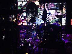 -胡桃里音乐酒馆(曲江店)