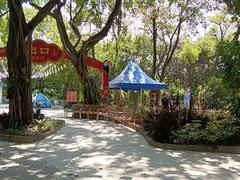 -广州长隆飞鸟乐园