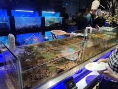 水产区-V-ONE西雅图海鲜自助餐厅(仓山万达广场店)