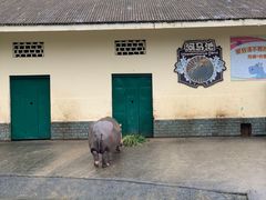 -无锡动物园·太湖欢乐园
