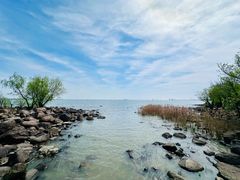 -上海吴淞炮台湾国家湿地公园