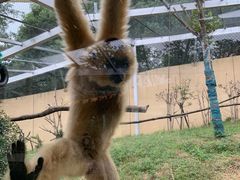 -合肥野生动物园