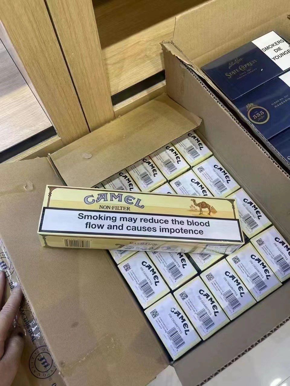 欧盟无嘴骆驼