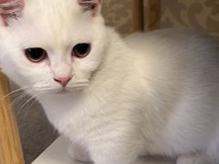 -FAELING PETS美天灵宠物(富力广场店)